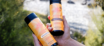 Demystifying Malassezia: How can Bees Brilliance's Propolis Shampoo and Conditioner help?