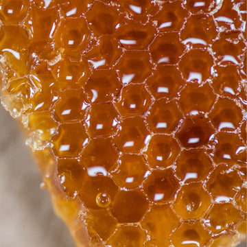 Is Honey Good for Your Skin? Here’s What the Science Says