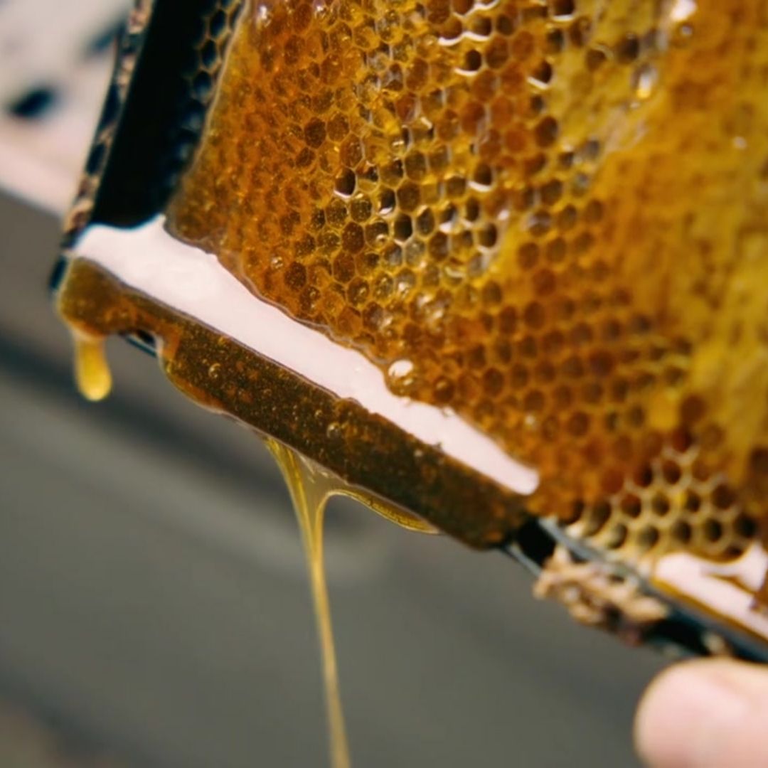 Propolis and Manuka Honey skin care 